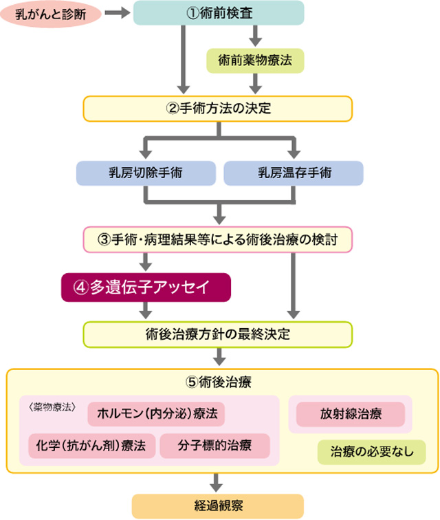 【医師監修】乳がん病変組織における遺伝子検査:あなたにあった乳がん治療を選択するために